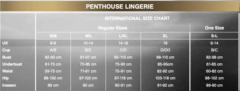 Penthouse - Bombshell Sheer Shimmer Mini Dress